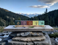 Dr. Bancroft's 5 Soap Bundle
